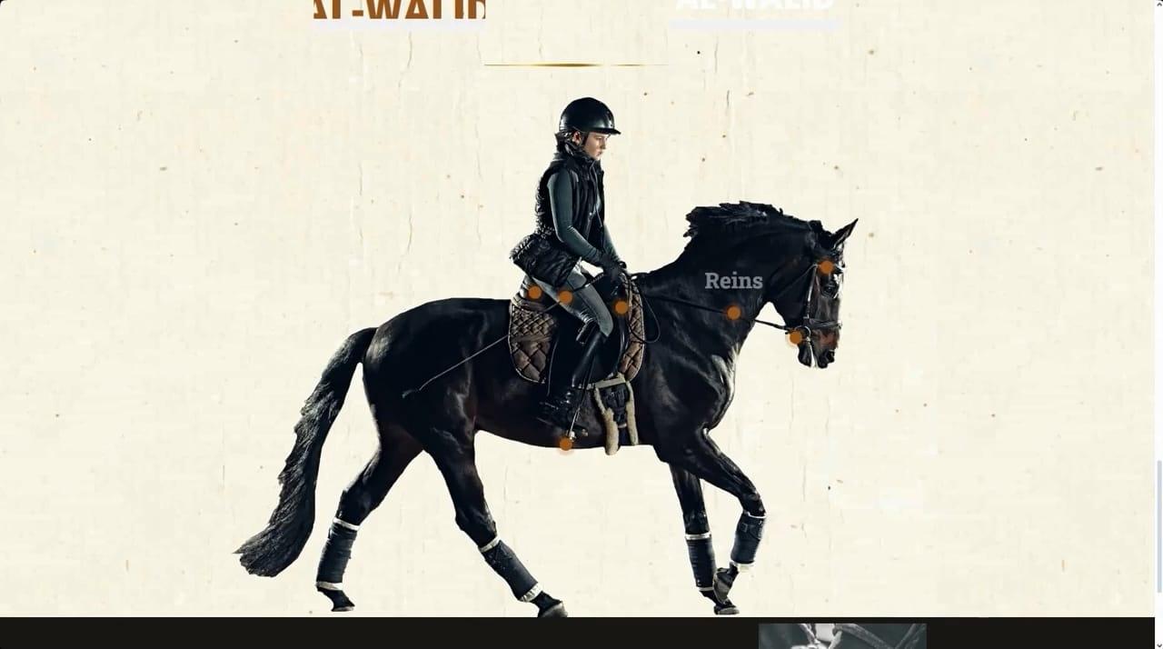 al walid horse resort — web app development — 04