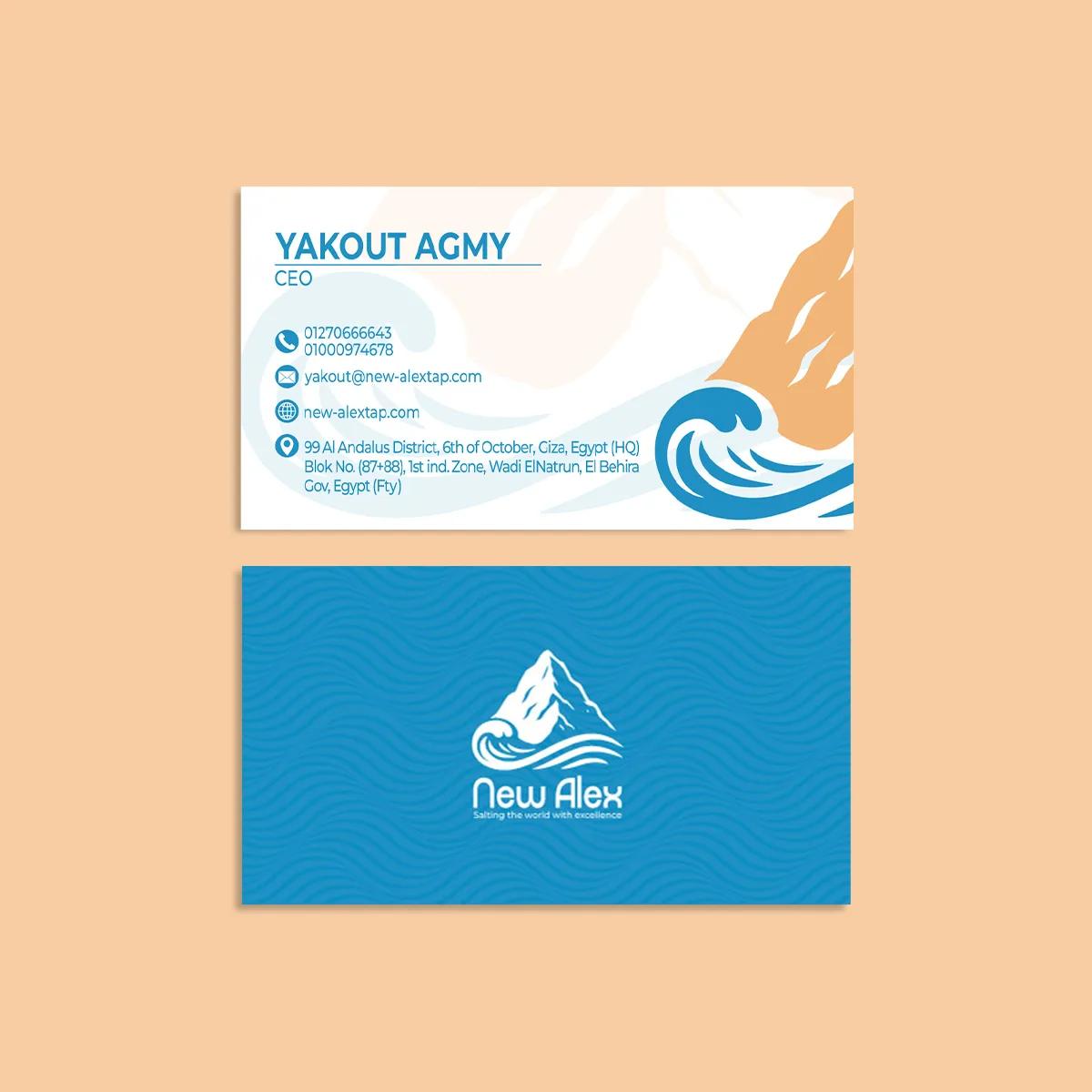 new alex — brand identity — 01