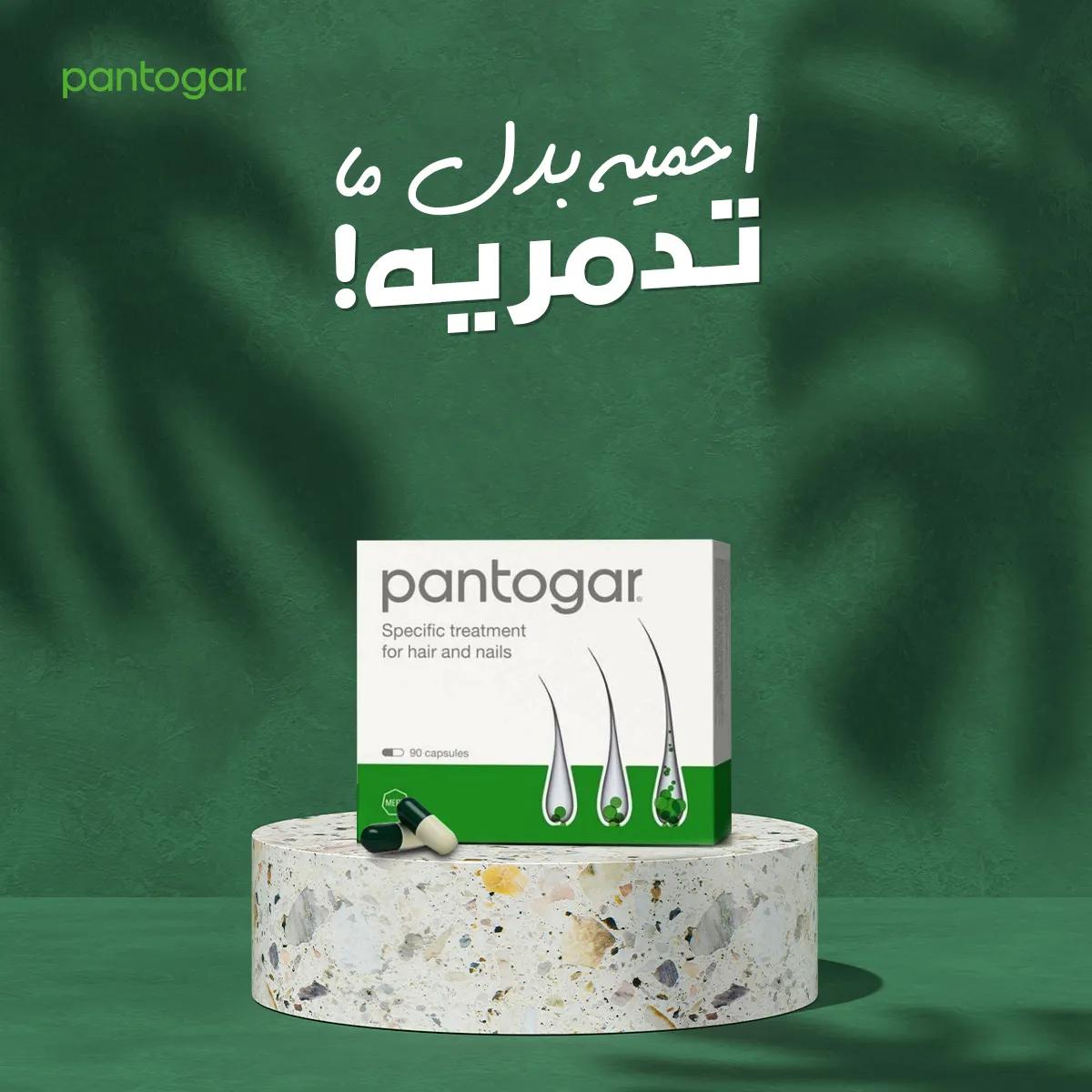 pantogar — social media — 02
