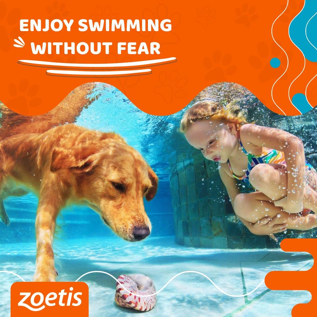 zoetis — social media — 01