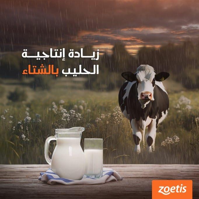 zoetis — social media — 07