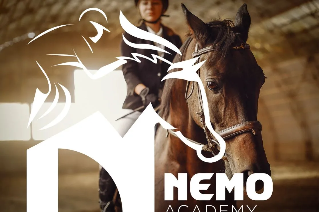 nemo — brand identity — 01