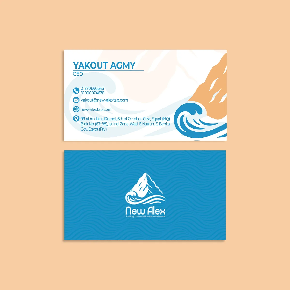 new alex — brand identity — 01
