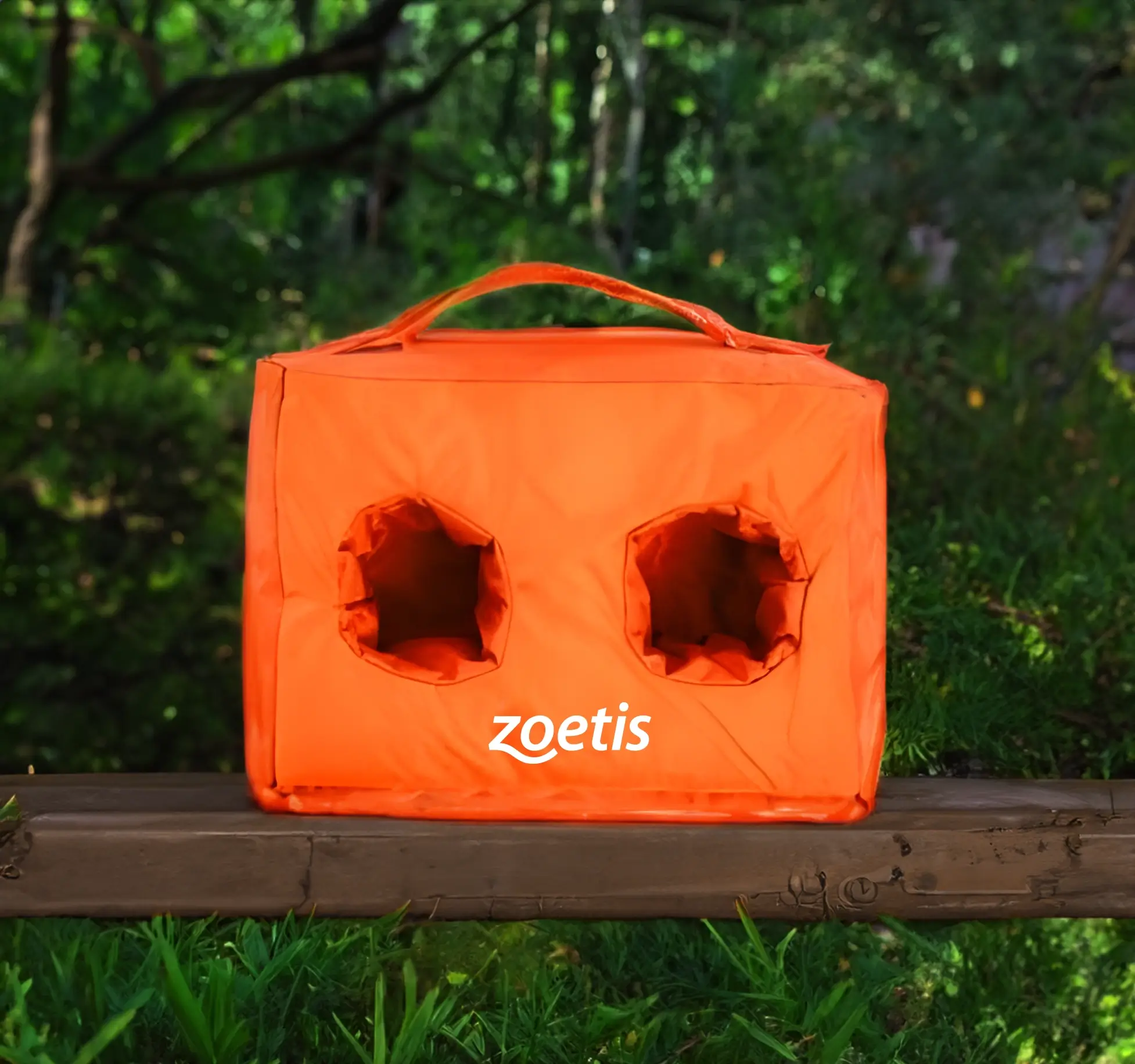 zoetis — giveaways — 01