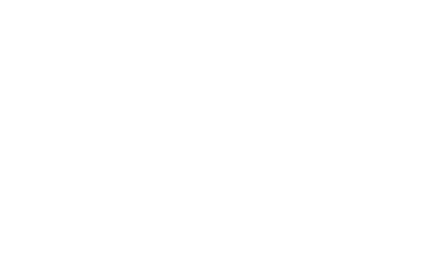 CocaCola