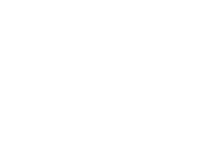 Nemo Academy