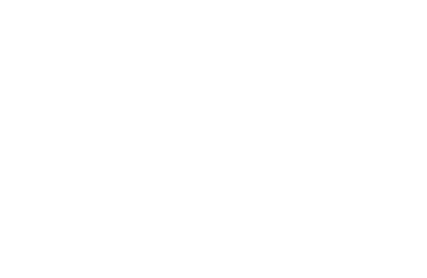 Robek